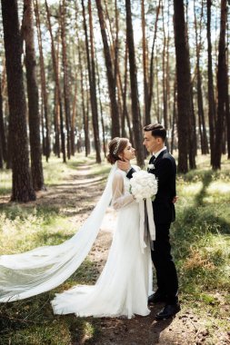 Güzel gelini olan yakışıklı bir damat çam parkında yürüyor. Yeni evlilerin birbirine aşık portresi. Sevgililer kucaklaşır