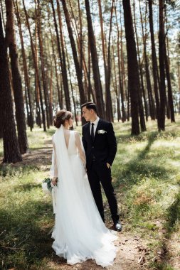 Güzel gelini olan yakışıklı bir damat çam parkında yürüyor. Yeni evlilerin birbirine aşık portresi. Sevgililer kucaklaşır