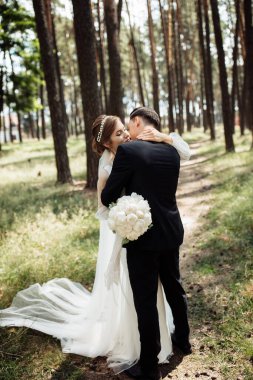 Güzel gelini olan yakışıklı bir damat çam parkında yürüyor. Yeni evlilerin birbirine aşık portresi. Sevgililer kucaklaşır