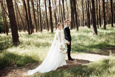 Aşıklar doğada olmak için sarılırlar. Gelin ve damat ormanda yürüyorlar. düğün çifti