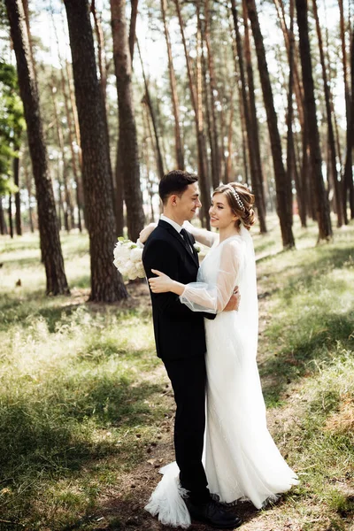 Beau Marié Avec Une Belle Mariée Marchent Dans Parc Pins — Photo