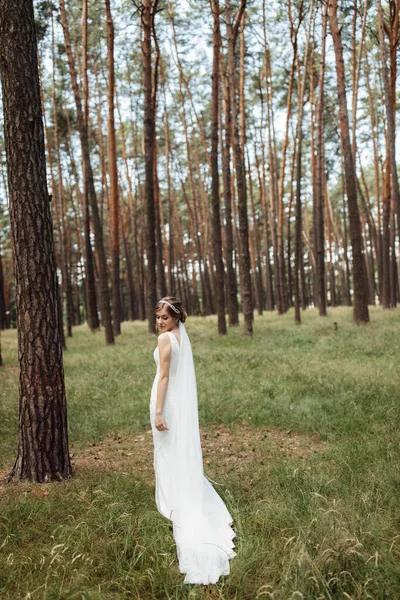 Elinde Bir Düğün Buketi Tutan Güzel Bir Gelinin Portresi Tatlı — Stok fotoğraf