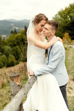 Doğada yaşayan güzel yeni evliler sarılır ve gülümser. Dantel bir elbise içinde gelin ve damadın portresi. Yeni evli çiftin düğün günüymüş. Dağlarda bir çift