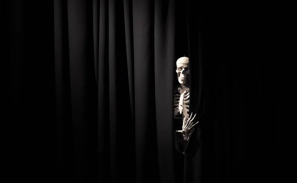 skeleton mannequin opens black curtain humor. human skeleton on a dark background