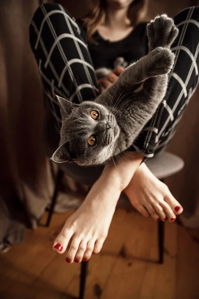 Una Hermosa Chica Pijama Sienta Una Silla Cariñosamente Abraza Gatito — Foto de Stock