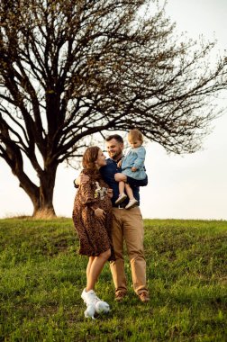 Mutlu aile bahar çimlerinde yürüyor. Küçük kızı ve kocası olan hamile bir kadın. Aile gün batımında yürür. Uluslararası aile. Gelecekteki ebeveynler. hamile karnı