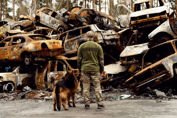 Military Ukrainian Army Duty Dog Russian Aggression Ukraine Soldier Service ロイヤリティフリーのストック画像