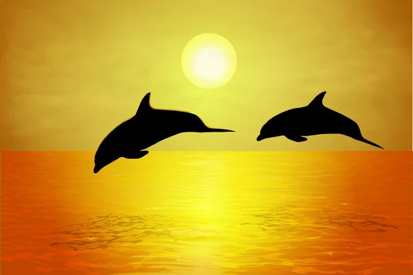 Dophins ηλιοβασίλεμα — Διανυσματικό Αρχείο