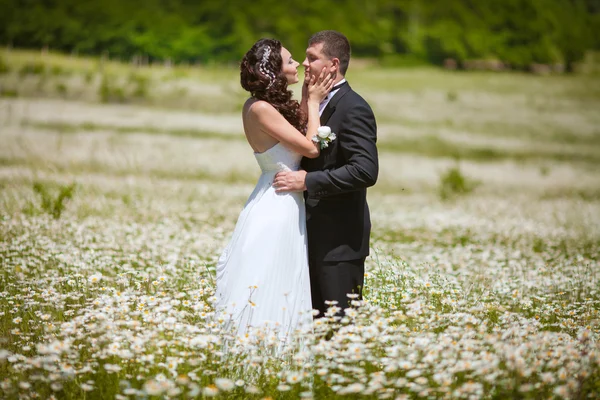 Braut und Bräutigam am Hochzeitstag — Stockfoto