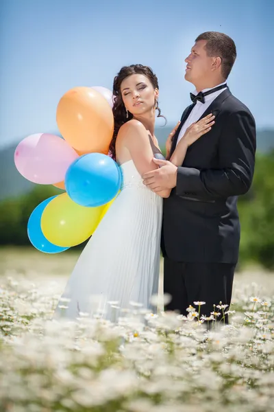 Novia y novio en el día de la boda — Foto de Stock