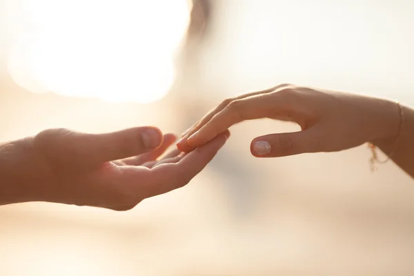 Boda pareja cogida de la mano en el atardecer . — Foto de Stock