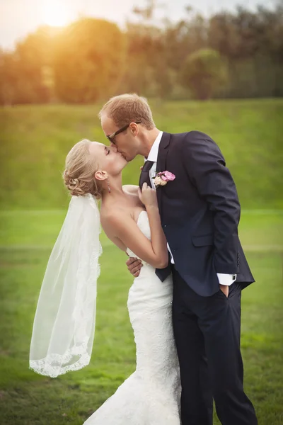 Bride and groom together on nature — Stock Photo, Image