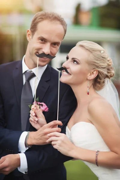 Gelin ve damat komik yanlış bıyıklı