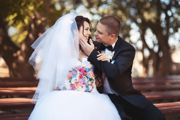 Recién casada pareja beso en parque —  Fotos de Stock