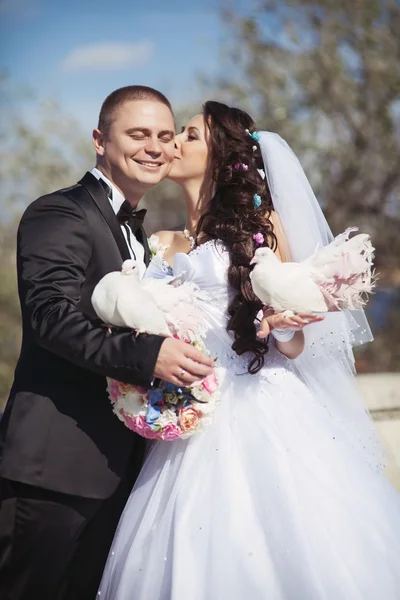 Couple nouvellement marié baiser — Photo
