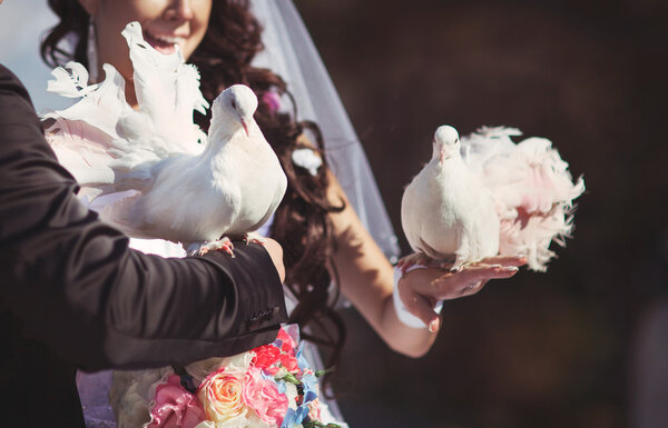 Newly married couple with pigeons