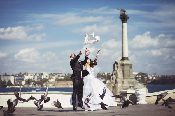 Recém-casados libertam pombos — Fotografia de Stock