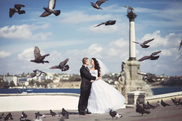 Recém-casados beijam-se na praça — Fotografia de Stock