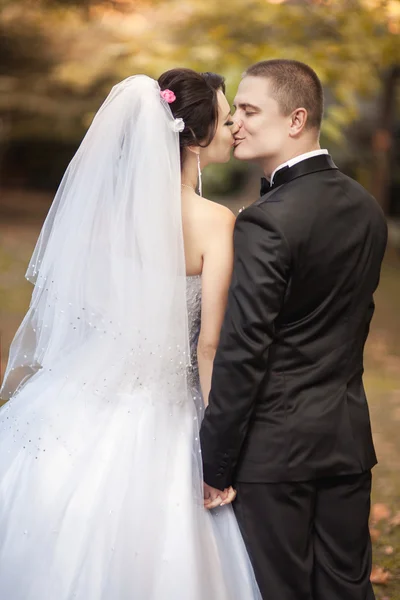 Bruid en bruidegom op de huwelijksdag — Stockfoto