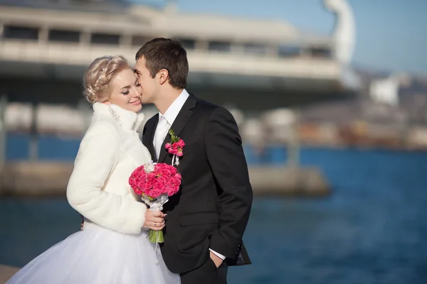 Casamento noiva e noivo beijo — Fotografia de Stock