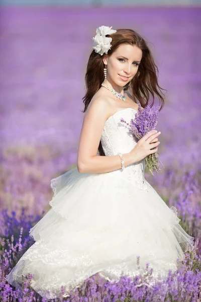 Bella sposa nel giorno del matrimonio in campo di lavanda — Foto Stock