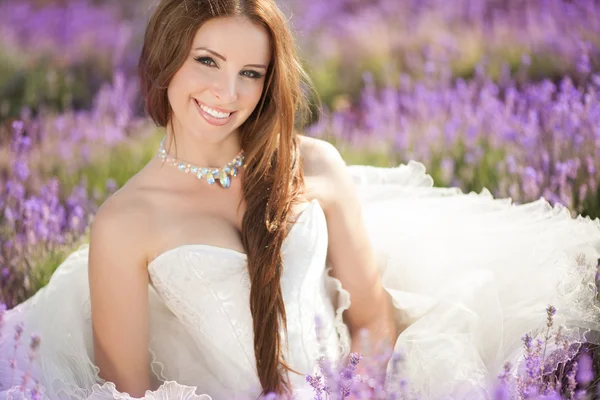 Beautiful Bride in wedding day in lavender field — Stock Photo, Image