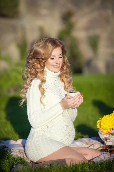 Genç hamile kadın niteliğine sahip açık piknik — Stok fotoğraf