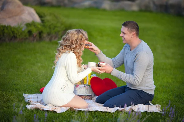 Těhotná žena a její manžel, relaxaci na přírodu a mají piknik v parku — Stock fotografie