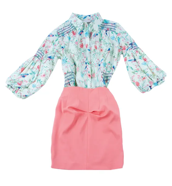 Yazdırma bluz ve pembe etek moda bakmak