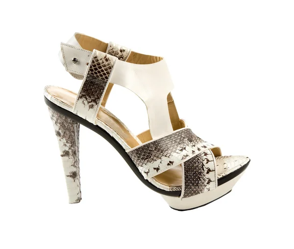 Python sandal stiletto — Stock Photo, Image