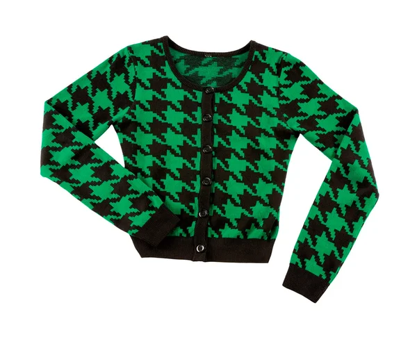 Зелений перевірка гончака пуловер — стокове фото