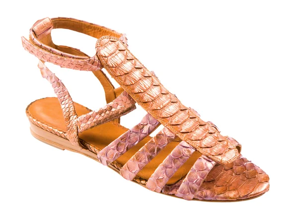 Python deri Roma sandal — Stok fotoğraf