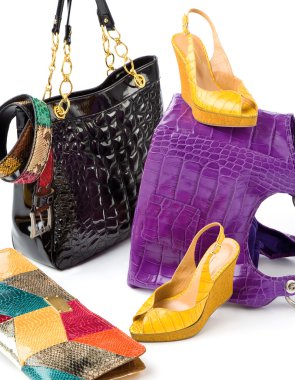 Yılan deri moda aksesuarları natürmort kompozisyon