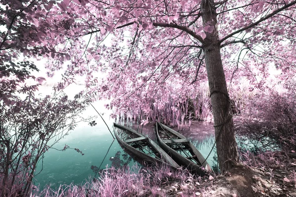 pateira de fermentelos Park