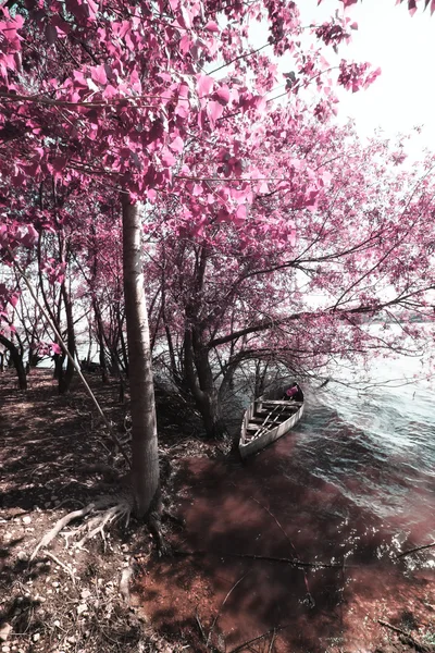 pateira de fermentelos Park