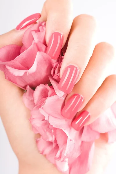 Schöne Frauenhand mit Rose — Stockfoto