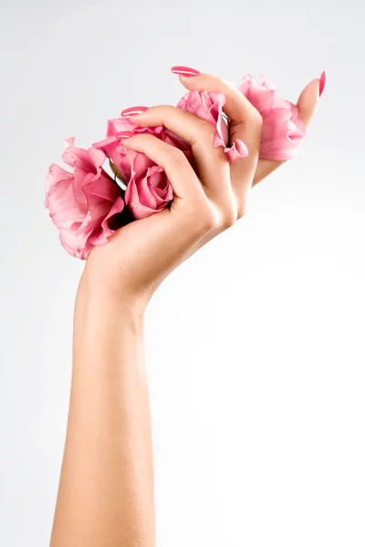 Mãos de mulher bonita com rosa — Fotografia de Stock