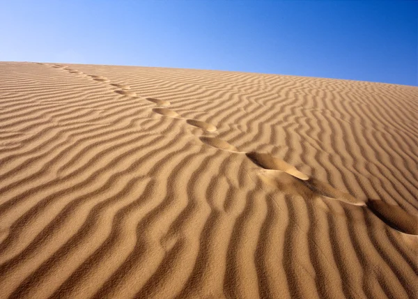 Zandwoestijn, sahara, Tunesië — Stockfoto