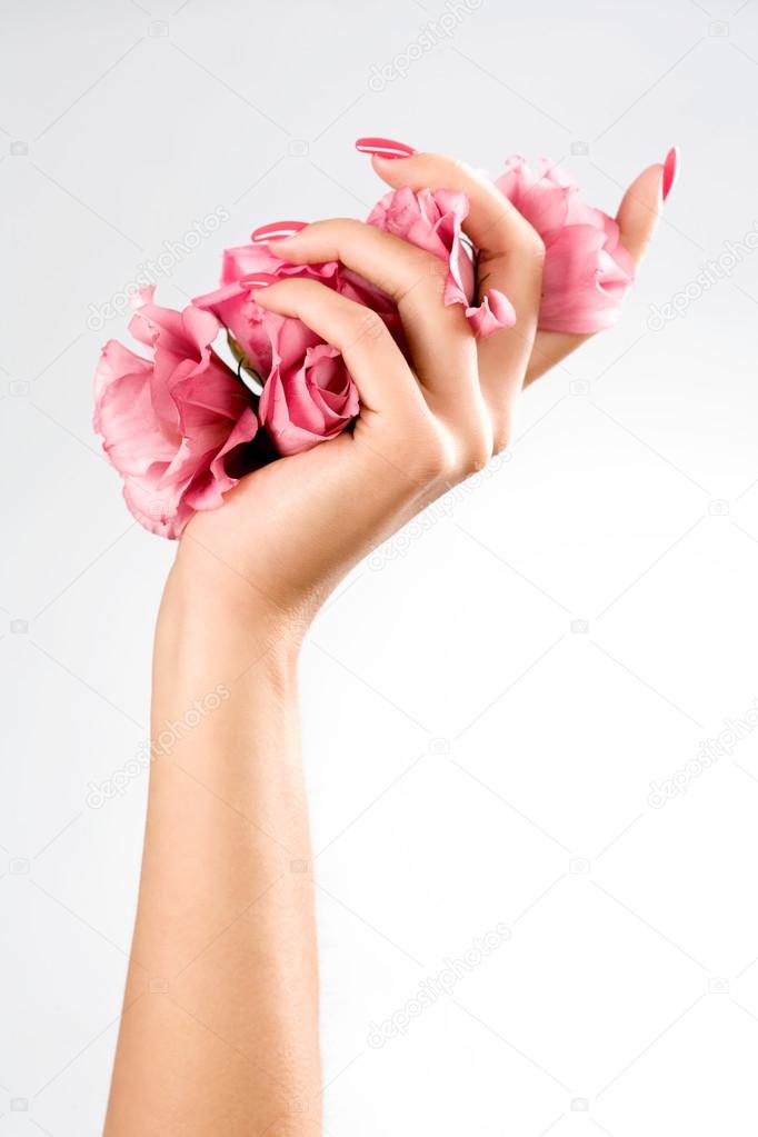 Beautiful woman hands with rose