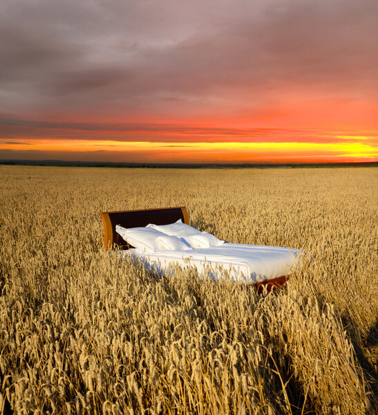 Lit dans un champ de céréales - concept de bon sommeil — Photo