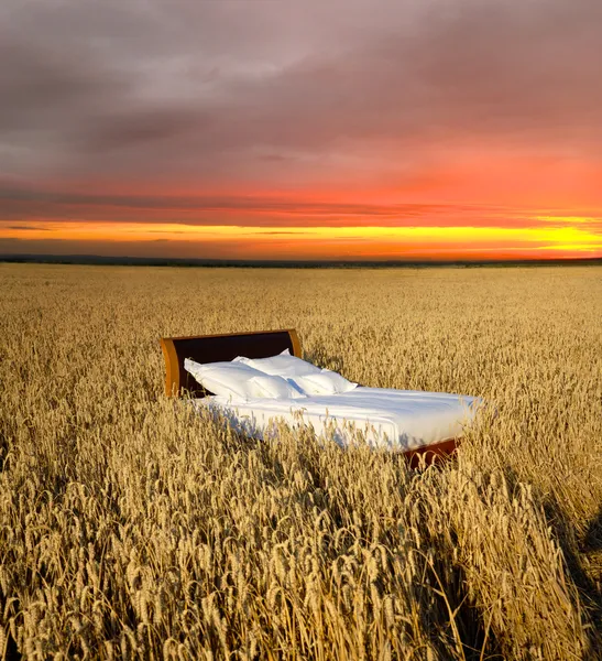 Cama en un campo de grano - concepto de buen sueño Imagen De Stock