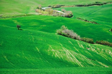 Hills Toskana, İtalya