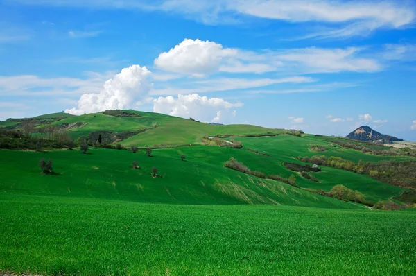 Colinas em Toscana, Italia — Fotografia de Stock