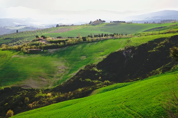 Hills in Tuscany, Italy — Stock Photo, Image