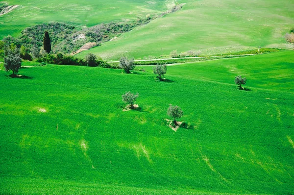 Пагорби в Тоскані, Італія — стокове фото