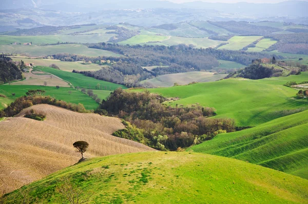 Hügel in der Toskana, Italien — Stockfoto