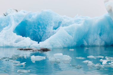 İzlanda 'da mavi bir buzdağı. Jokulsarlon gölüne akan bir buzdağı, buzulun ön tarafından ayrılmış..