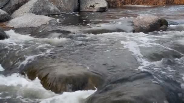 Paysage avec rivière — Video