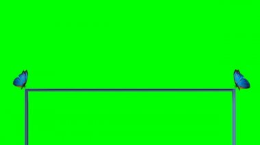 Kelebeklerin metin (bir yeşil Alfa ')