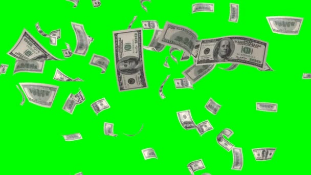 Fliegende Dollarnoten. isoliert über grünem Alpha — Stockvideo
